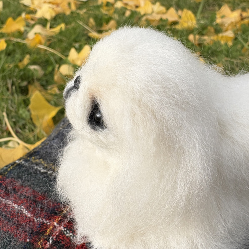 ☆K-K様専用☆羊毛フェルト【ペキニーズ】犬 オーダー