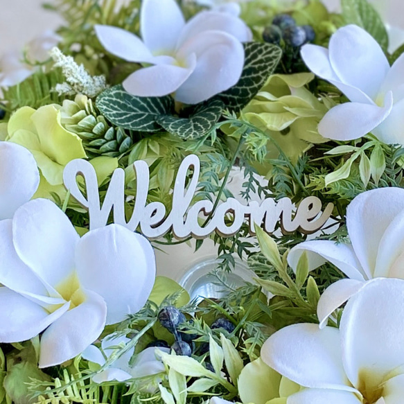 2025 しめ縄リース＞ 『ガーリー ファレノ』 くすみ系ピンクの上品で