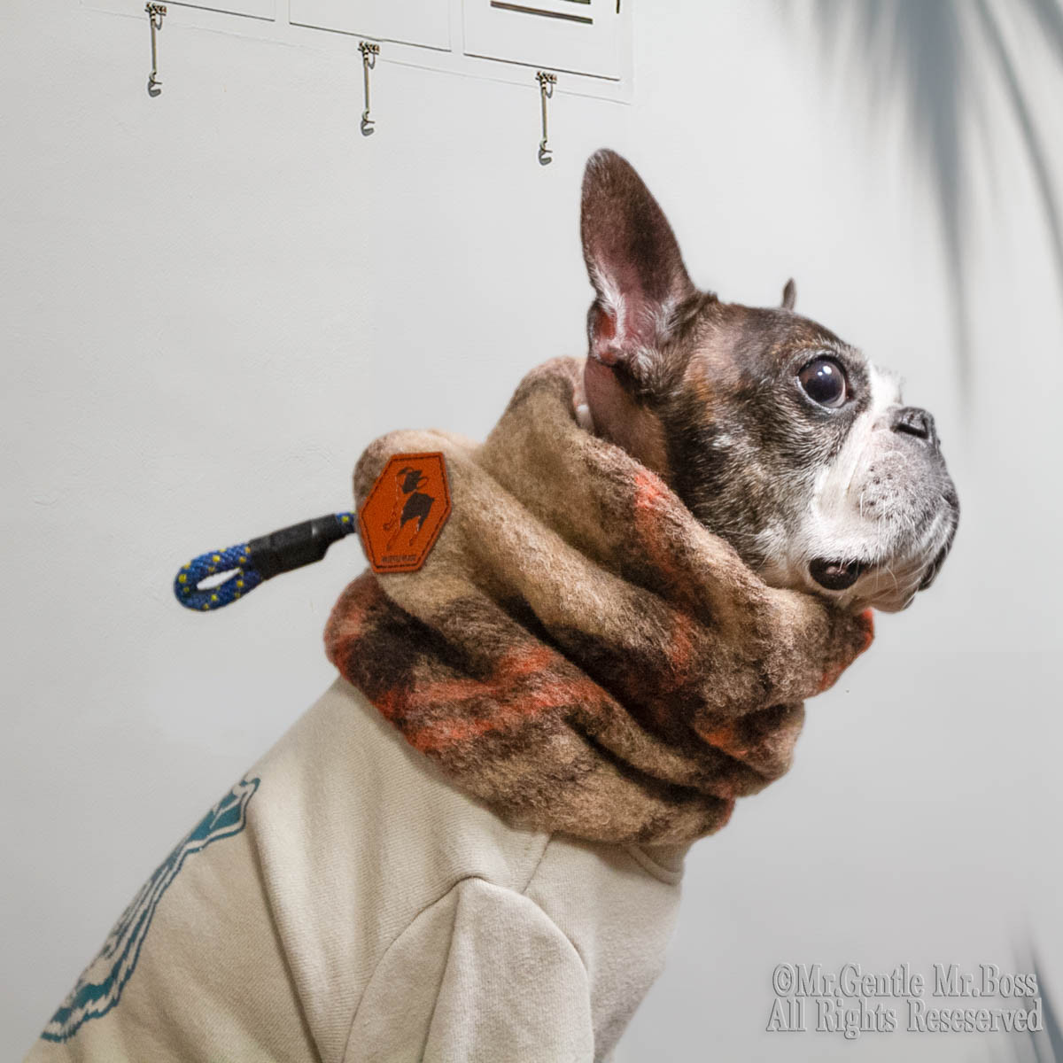 タータンチェック柄　耳までぬくぬく ネックウォーマー ☆Brown　犬服