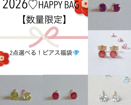 2026 HAPPY BAG 2点選べる ピアス福袋 ピアス（スタッド・一粒） CRUX