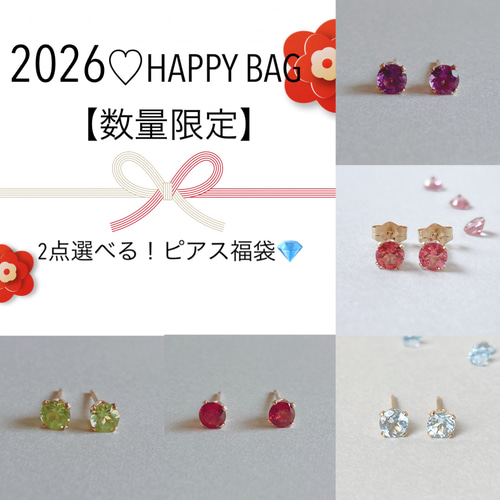 2026 HAPPY BAG 2点選べる ピアス福袋 ピアス（スタッド・一粒） CRUX