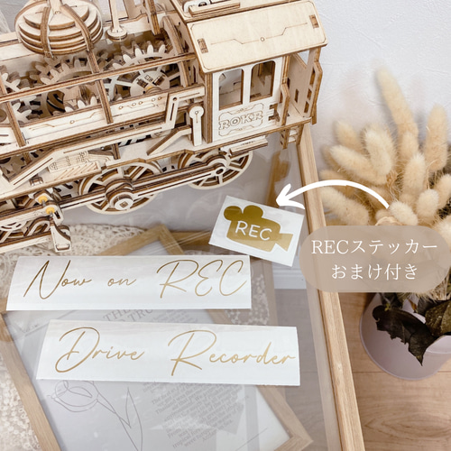 RECおまけつき】犬種選べます✧ ドッグインカー RECシール 車