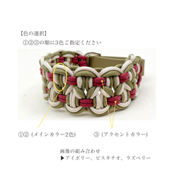 【d305】色選べるパラコード×BioThane マーチンゲール首輪 幅広 3枚目の画像