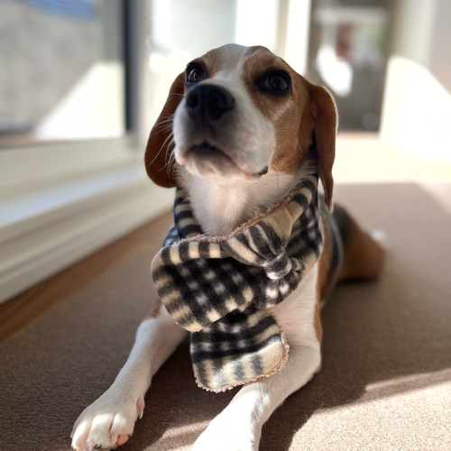 犬用あったかリボンマフラー フリース タータンチェック ペット服