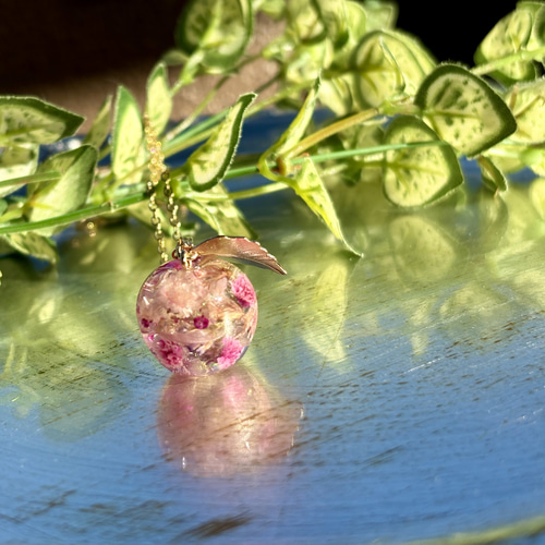 ドライフラワーの林檎ネックレス(ピンク) ネックレス・ペンダント