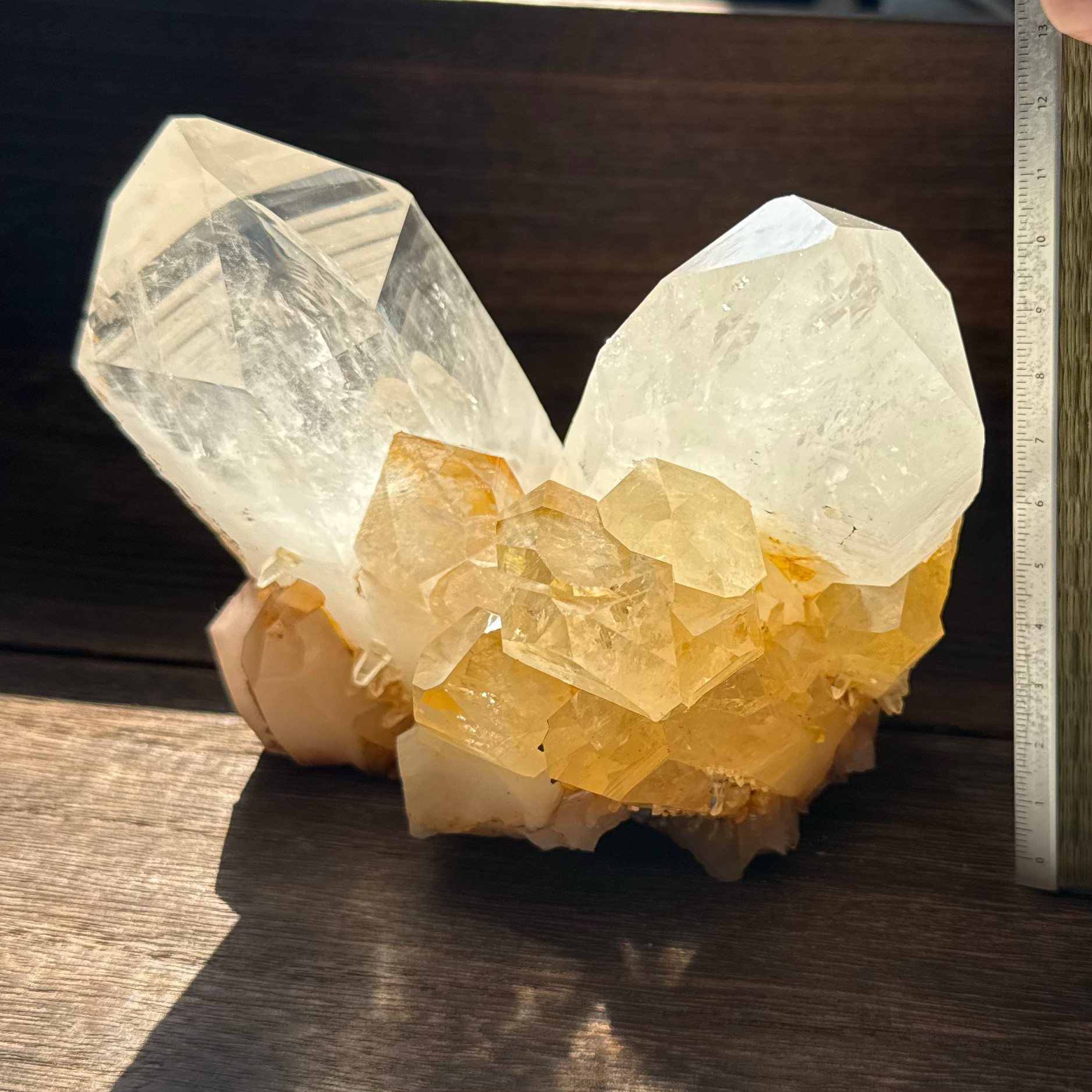 カンチェンジュンガ産 クラスター tg777