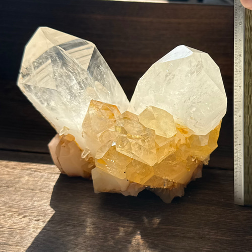 カンチェンジュンガ産クラスター118-1