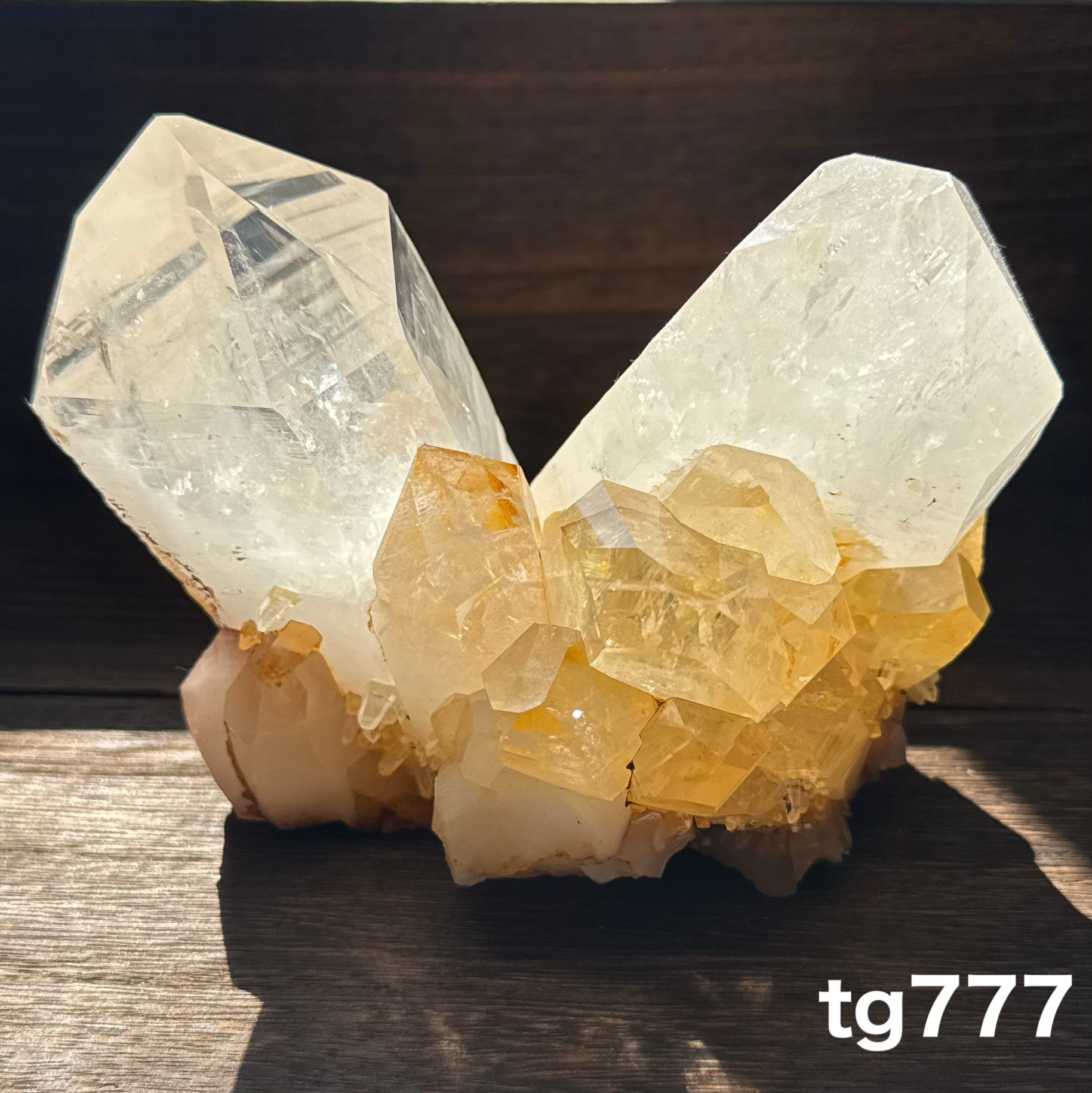 カンチェンジュンガ産 クラスター tg777