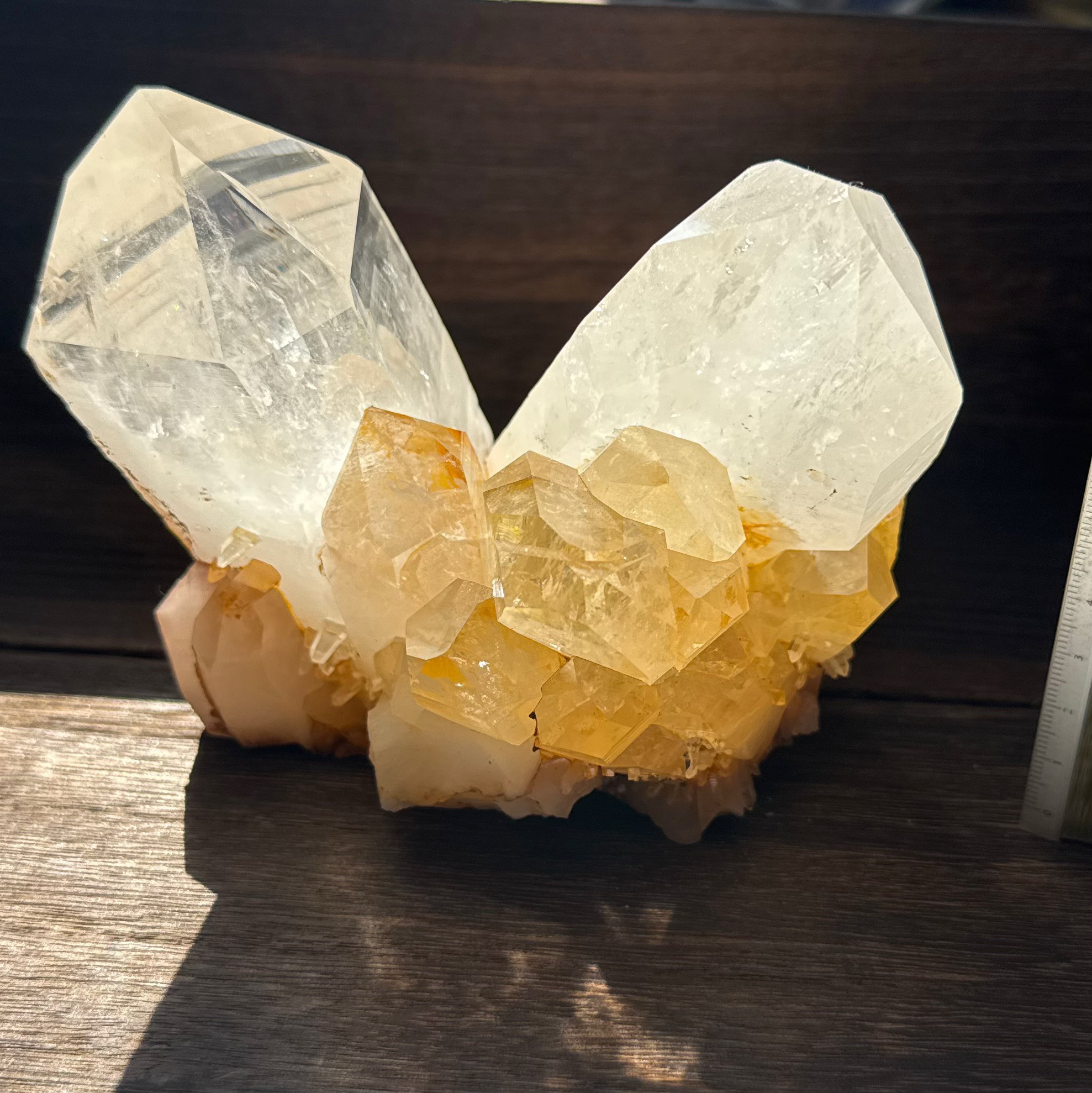 カンチェンジュンガ産 クラスター tg777