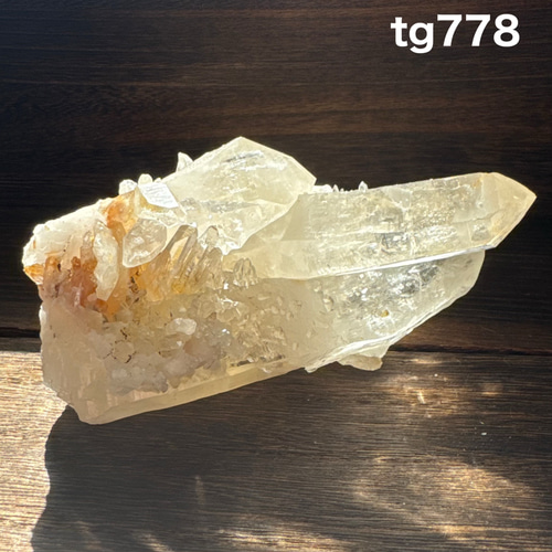 カンチェンジュンガ産クラスター I 優婆夷 カンチェンジュンガ産