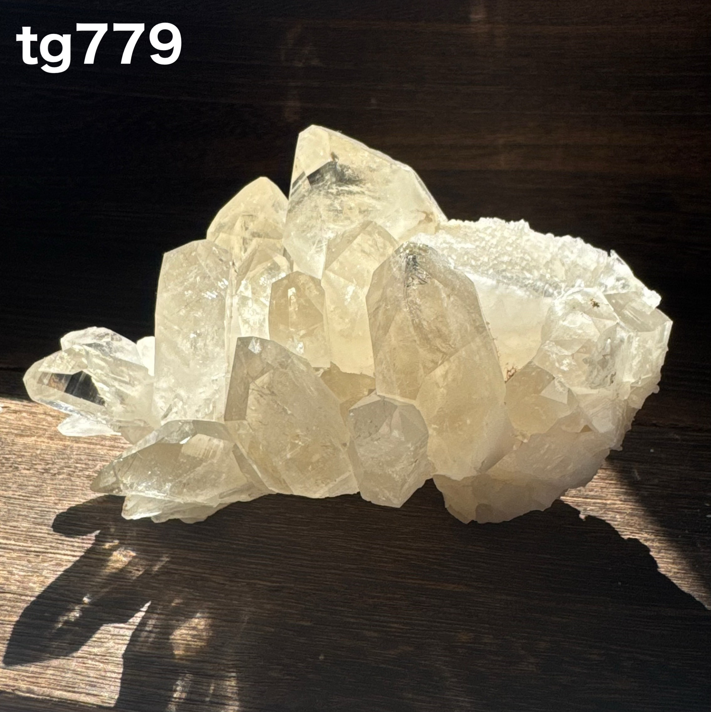 カンチェンジュンガ産 クラスター tg779