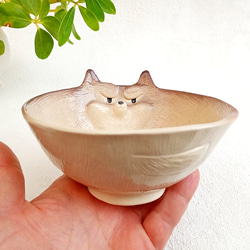 オオカミ飯碗 　動物の陶器　１点あります 6枚目の画像