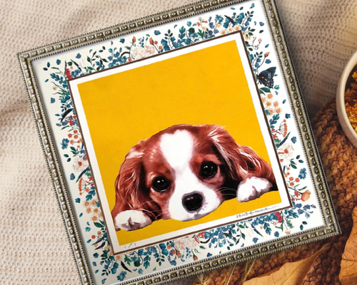 c8af5dc7b38c571e7458da3b68bc8d