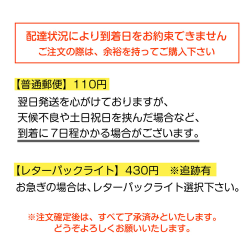 新5000円札専用】津田梅子・顔はめポチ袋・確認ページ ぽち袋・お年玉 
