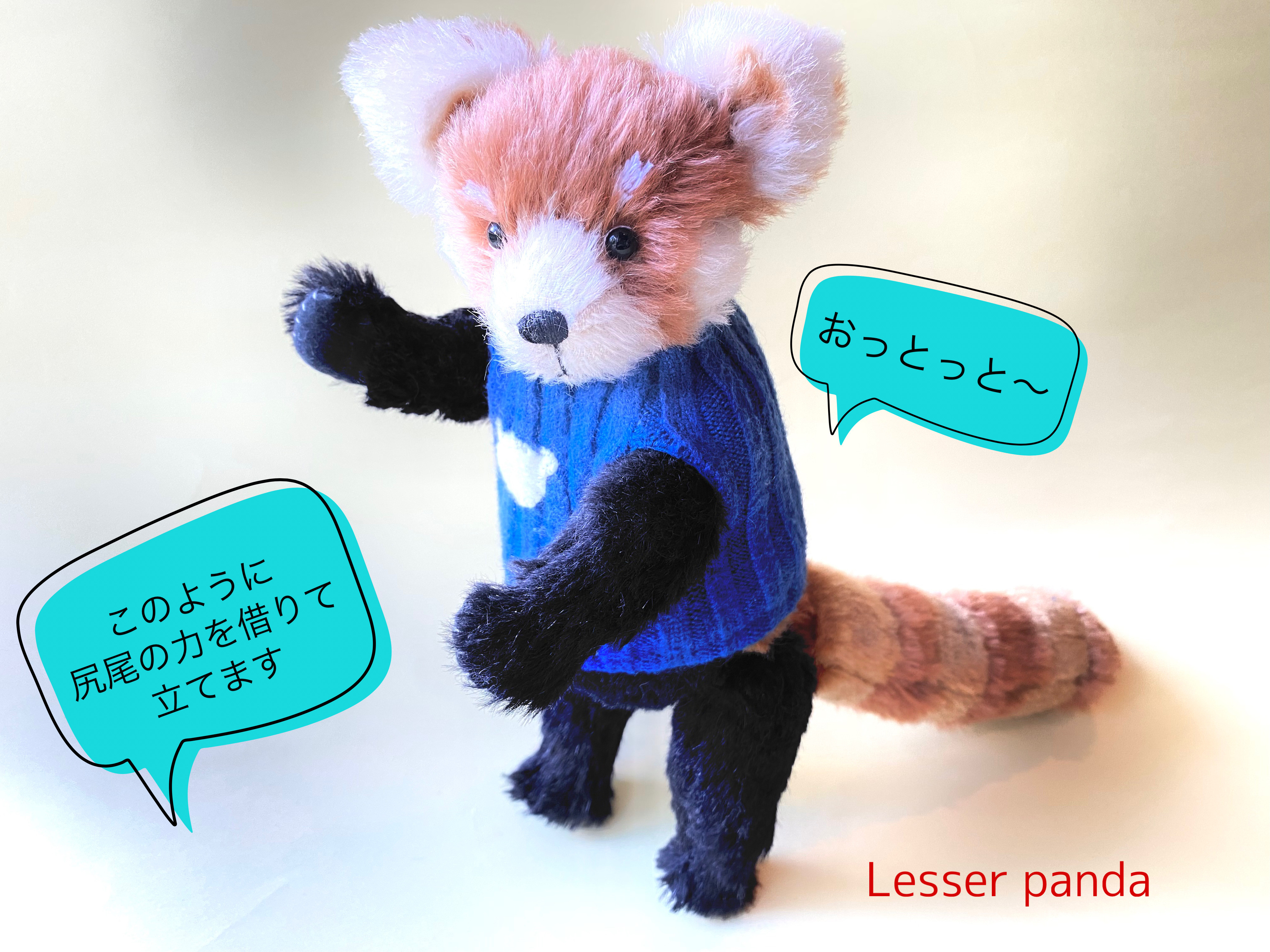 dotipottiレッサーパンダ テディベアアーティスト ゆーや🧸テディベアアーティスト🧸 on X: 