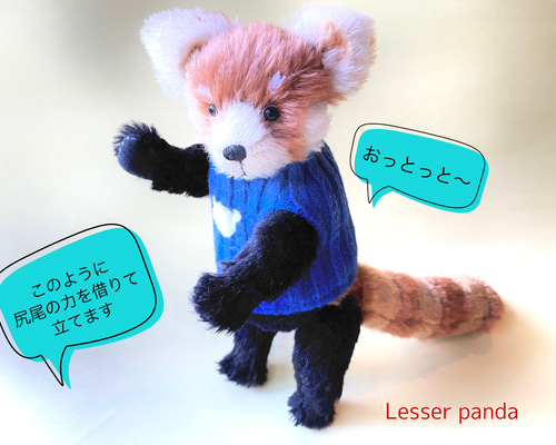 大きなホワイトクマ、レッサーパンダのぬいぐるみです。尻尾がデカいです。 ぬいぐるみ レッサーパンダ 野生マスコット プチプチランド