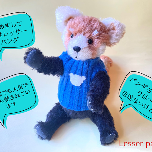 レッサーパンダ テディベア作家 アーティストベア ぬいぐるみ レッサーパンダのテディベア(24cm) その他人形 kmariko 通販
