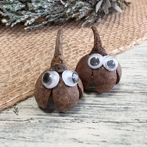 森の木の実のクリスマスリース 予約販売 フレッシュグリーン