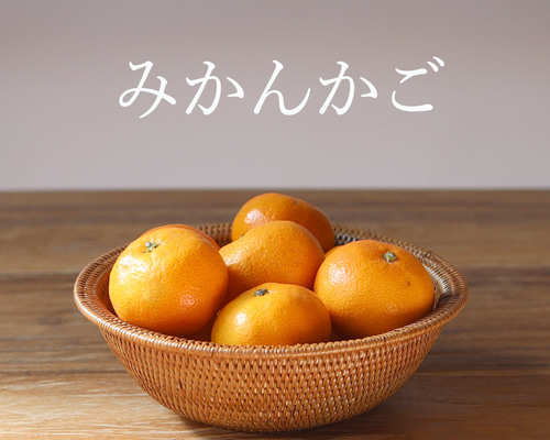 385954372e3f13a7e457de2e35cad5  