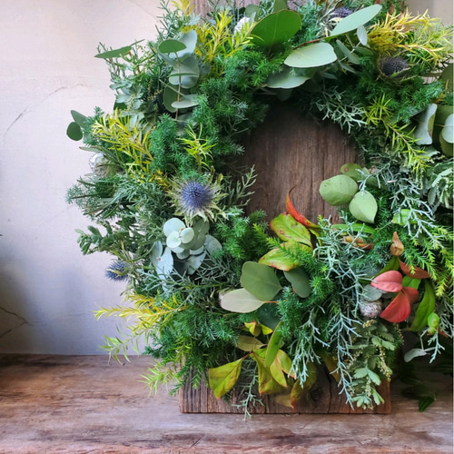 針葉樹のフレッシュリース40cm 薫り好きな方へ クリスマスのプレゼント