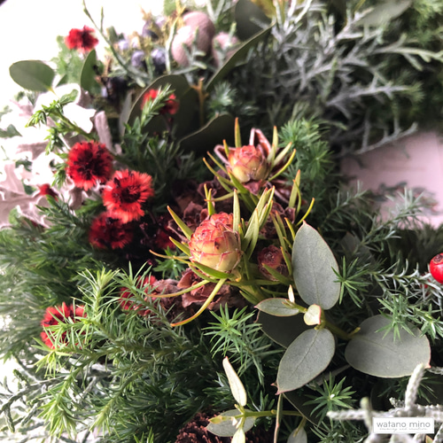 香り豊かなコニファーと赤い実のリース M25-27 /フレッシュグリーン