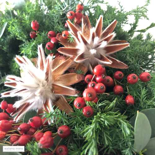 香り豊かなコニファーと赤い実のリース M25-27 /フレッシュグリーン