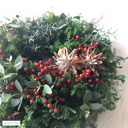 香り豊かなコニファーと赤い実のリース M25-27 /フレッシュグリーン