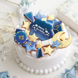 クッキー　オーダー品 シンカリオン🚄 セミオーダーセット💫🍪 （キャラクッキー上半身