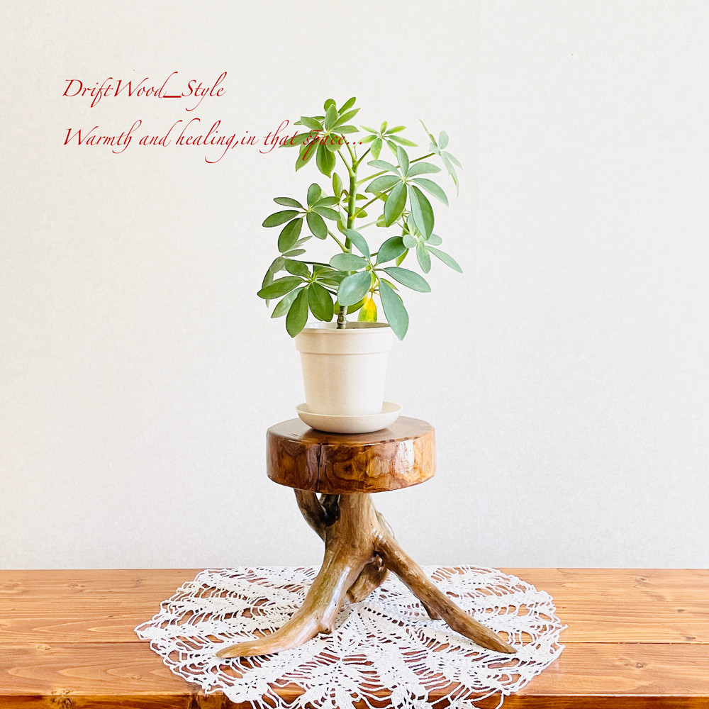 流木の２段フラワースタンド No.1087 流木インテリア