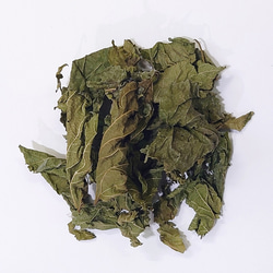 クワ（桑葉） 50g ◆ 草木染（材料）天然・草木染植物染料 1枚目の画像