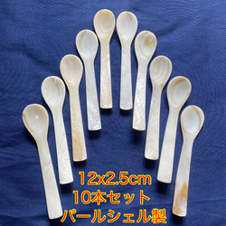 たか ハンドメイドシェルスプーン夜光貝　6点セット　替え針20個 たか様専用 ハンドメイドシェルスプーン夜光貝 6点セット 替え針
