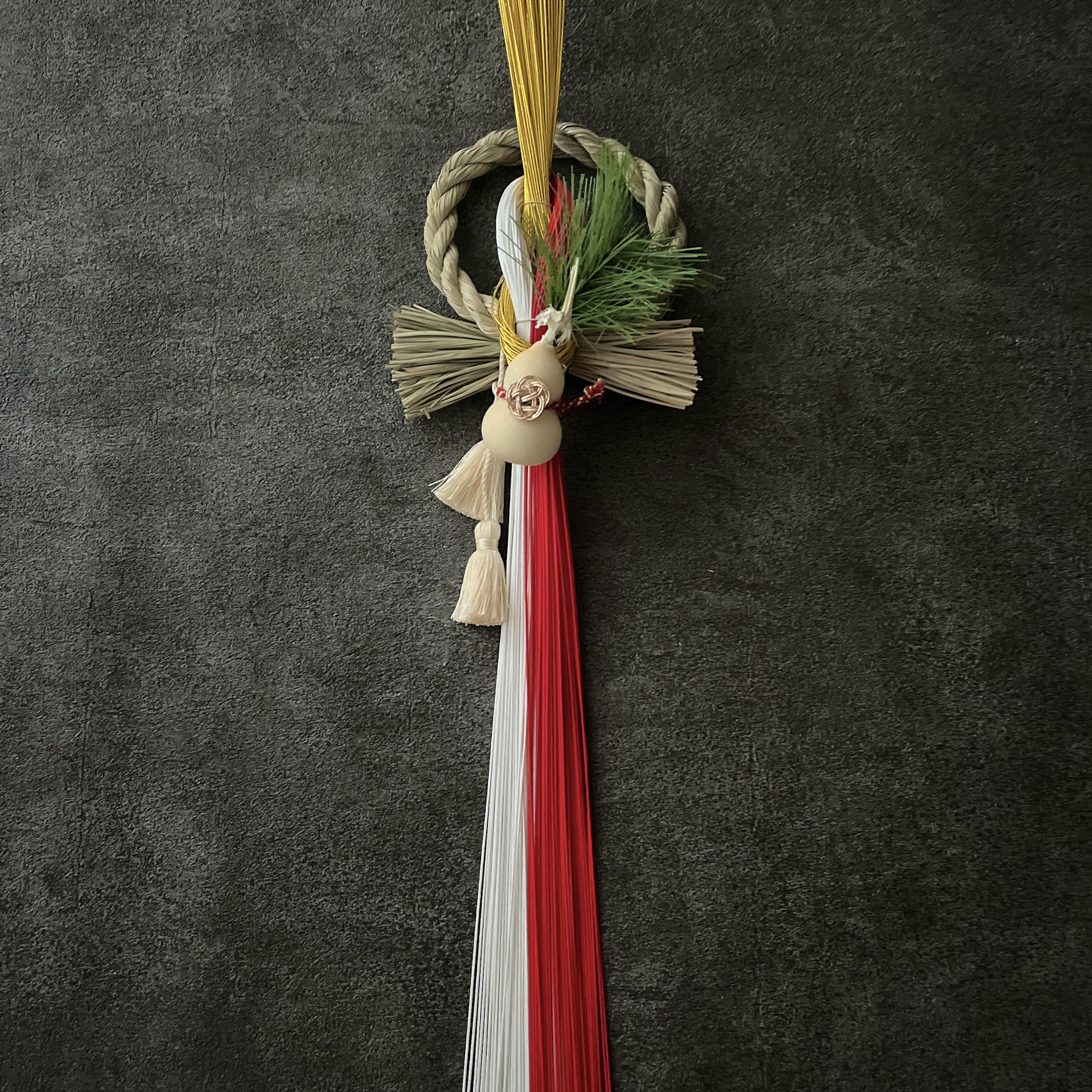 色鮮やかなプロモサムとケイトウのクリスマス&お正月しめ縄