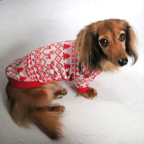 ノルディック柄 タンクトップ トレーナー クリスマス 犬服 ペット服