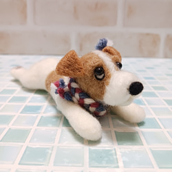 ジャックラッセルテリア お座り 羊毛フェルト manahata 通販 12696570