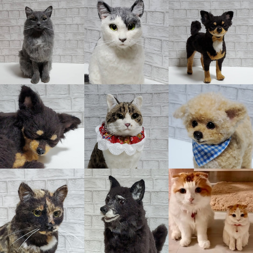 羊毛フェルト オーダーメイド、受注制作、羊毛フェルト犬、猫、ペット