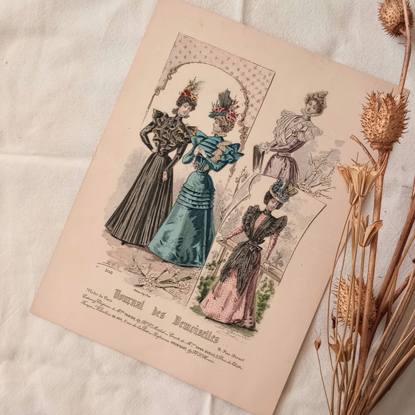 フランアンティーク ファッションモード画 折れあり 1900年代