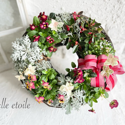 クリスマスリースの寄せ植え 35cm リース belleetoile 通販 18512354