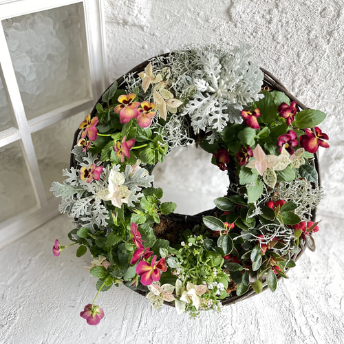 クリスマスリースの寄せ植え 35cm リース belleetoile 通販 18512354