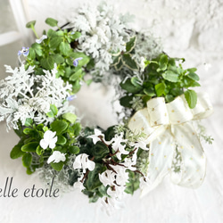 2025おまかせクリスマスリース 35cmワイヤー型 リース belleetoile