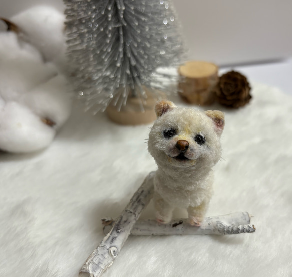 モールドール 白柴犬 豆柴 柴犬 子犬 モールアート モール人形 リアル