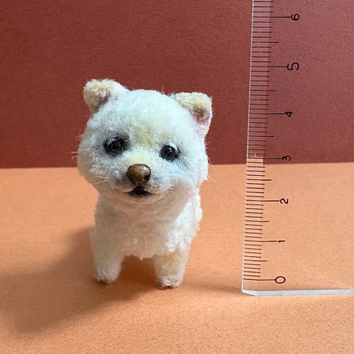 モールドール 白柴犬 豆柴 柴犬 子犬 モールアート モール人形