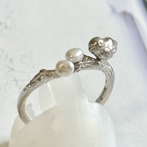 小鳥のリング 0_88877da31bac9867a8d1ef801366