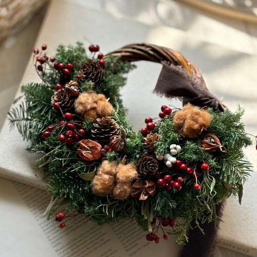 ベルギーナッツと赤い実と白い実を紡いだ　ふわふわなリース　ドライフラワー ベルギーナッツと赤い実と白い実を紡いだ ふわふわなリース ドライフラワー