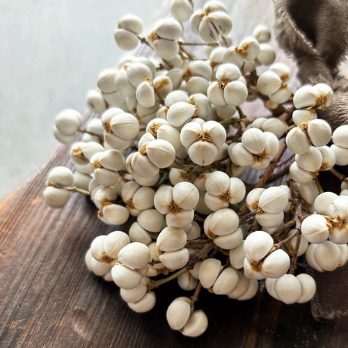 ナンキンハゼの実。オーダー専用。2025.初物。素材パーツ。スワッグ。 ナンキンハゼの実。2025.初物。14本。素材パーツ。スワッグ。 - メルカリ