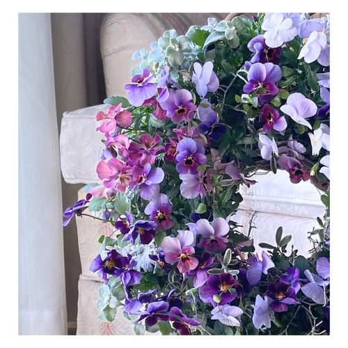 3種のビオラの寄せ植えリース ☆*:.｡. 幸せのwreath 「 grape