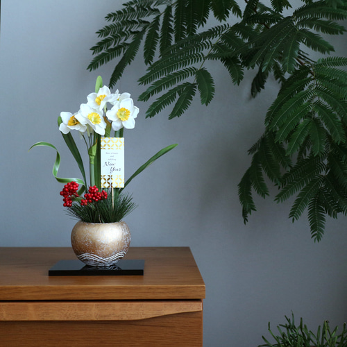 日本水仙とミモザの春のボードアレンジ 水仙（スイセン）：ペーパーホワイト3.5号鉢植え の通販 | 園芸