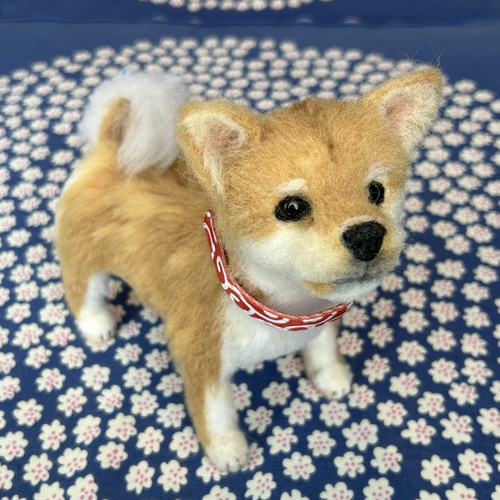 羊毛フェルト　柴犬　子犬 羊毛フェルト 柴犬 子犬 羊毛フェルト leegurumi 通販 18515599