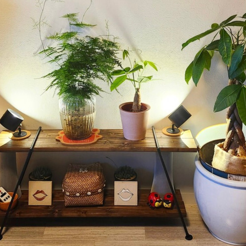 送料込み】アイアンシェルフ アイアンラック キャンプ収納 観葉植物棚