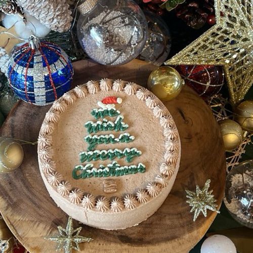 X'mas tree cake / 4号サイズ/クリスマスケーキ/クリスマス2024