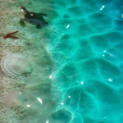 波紋木製トレー ホヌ付き レジンアート 約13.9×21.9×2cm オーシャン